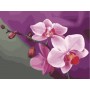 Картина за номерами Рожеві орхідеї 40х50 см арт. КНО1081 ISBN 4823104313007
