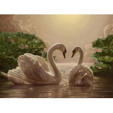 Пара лебедей (КНО301)