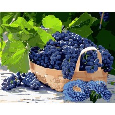 Виноград в корзинке (КНО5579)
