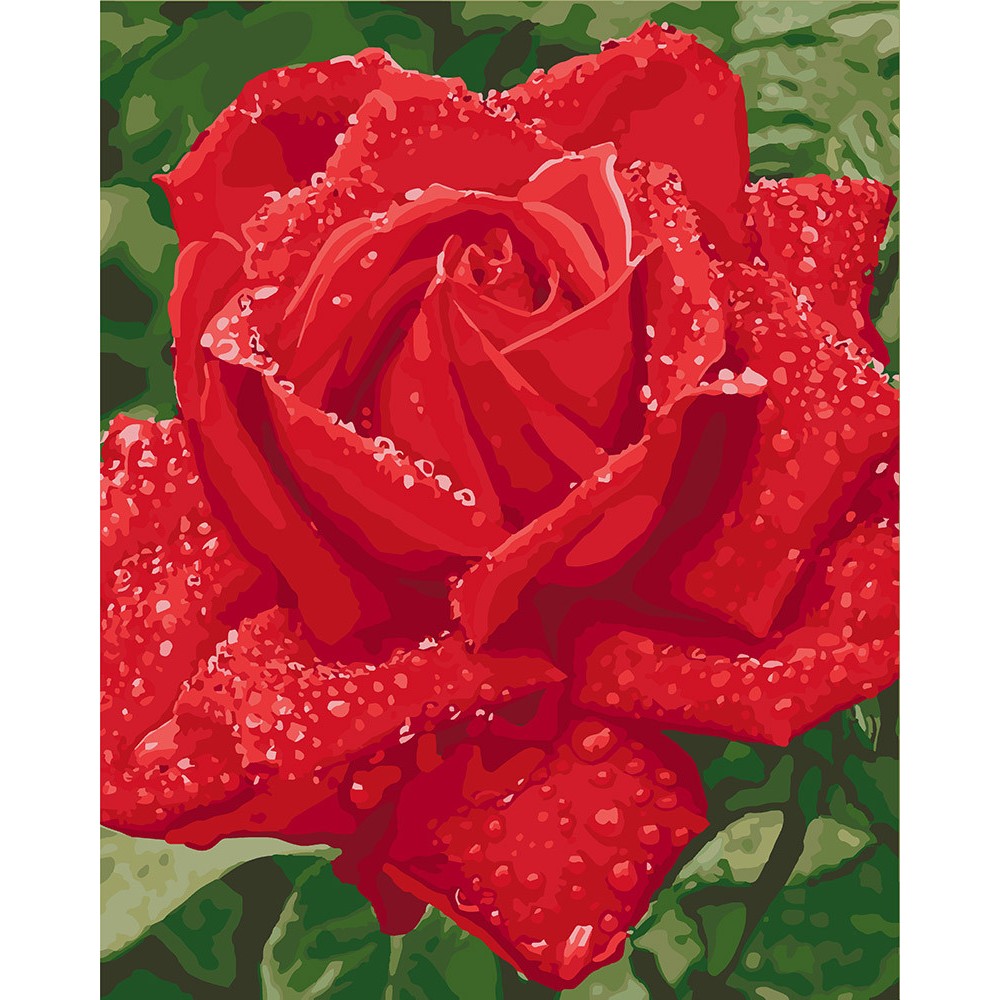 Картина за номерами Ніжність троянди 40х50 см арт. КНО3045 ISBN 4823104313311