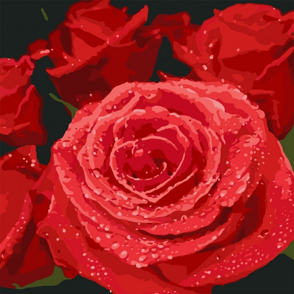 Картина по номерам Красные розы 40х40 см арт. КНО3089 ISBN 4823104321378