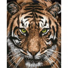 Величественный тигр (КНО4166)