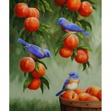Дрозди і персики (КНО2429)
