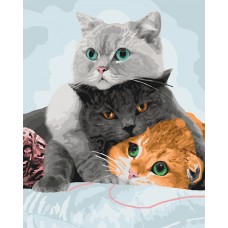 Три кота (КНО4151)